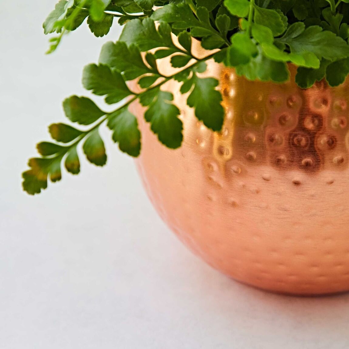 Hand-crafted hammered copper planter