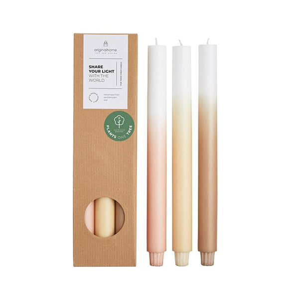 Gradient Candles 3 Pack - Certified Kernel Wax - Limestone